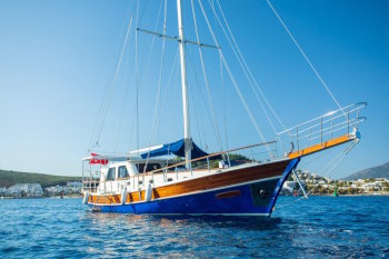 Caique a vendre Turquie